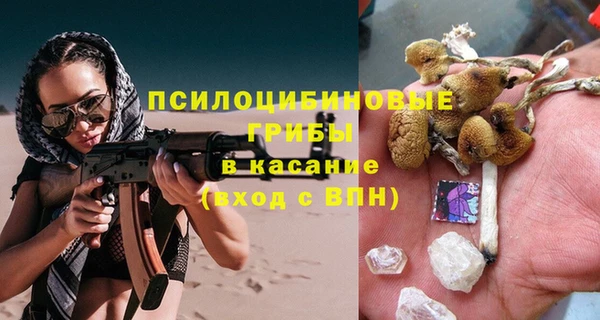 молекула духа Лиски