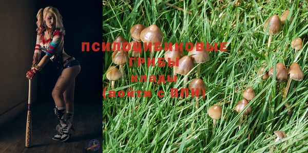 молекула духа Лиски