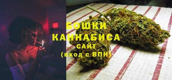 ПСИЛОЦИБИНОВЫЕ ГРИБЫ Лихославль