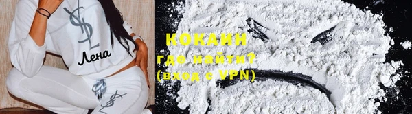 ПСИЛОЦИБИНОВЫЕ ГРИБЫ Лихославль