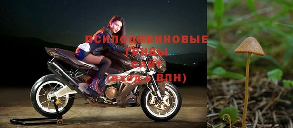 ПСИЛОЦИБИНОВЫЕ ГРИБЫ Лихославль