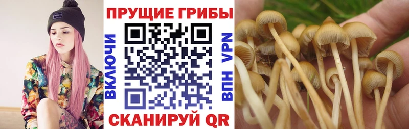 Галлюциногенные грибы ЛСД  Ильский 
